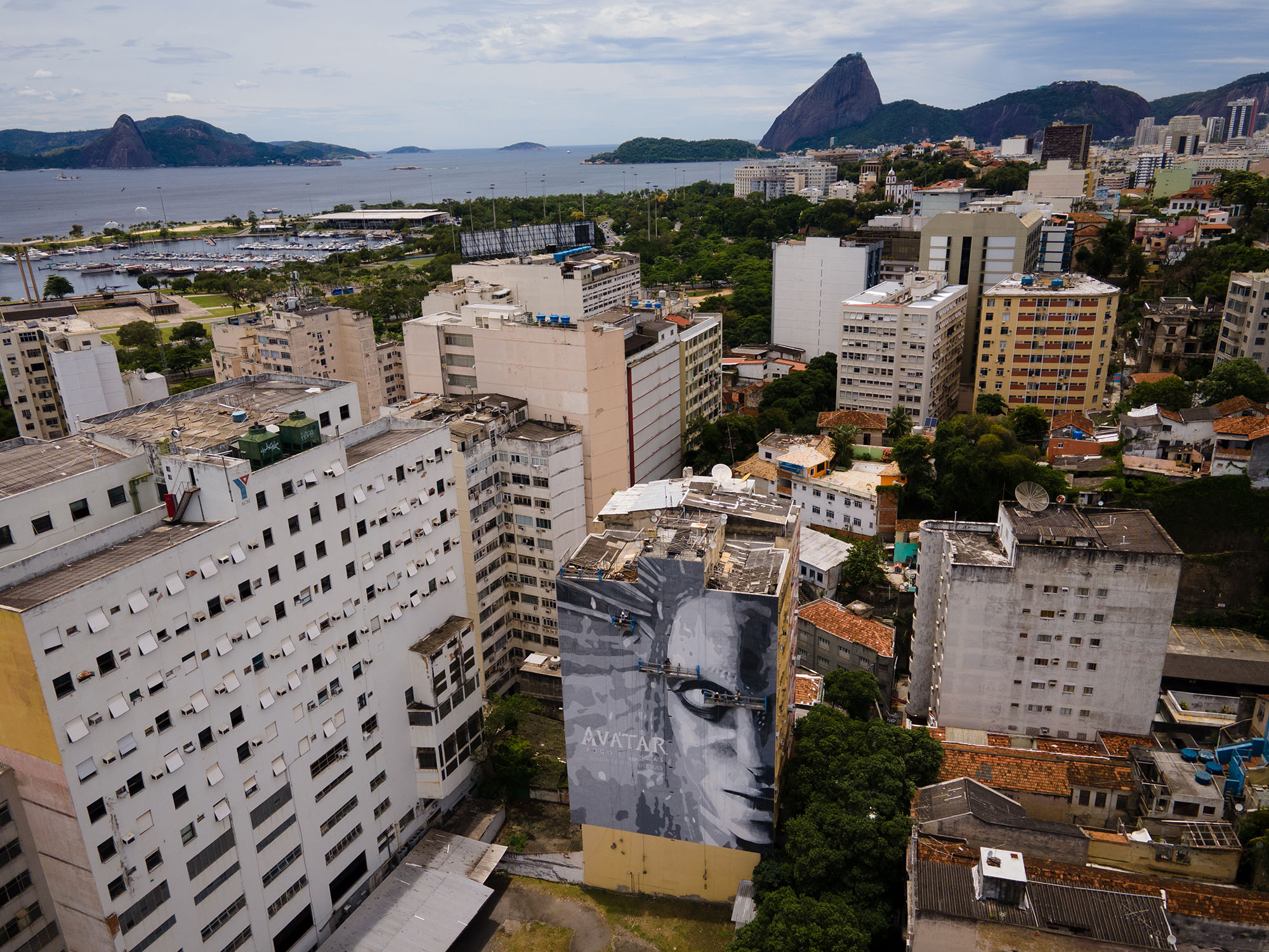 Avatar 3 — Disney — Cinzas da Floresta — INGF — 1